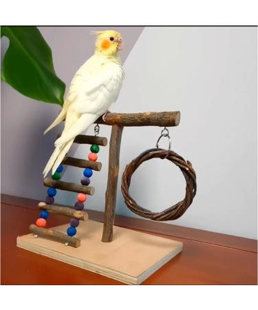 XLpeixin Bird Playground Parrot Playstand | Exercise Perch Gym Stand for Small-Medium Birds | Portable Hang Swing Toys for Parakeets, Canaries, Cockatiels - Buy Online on GoSupps.com