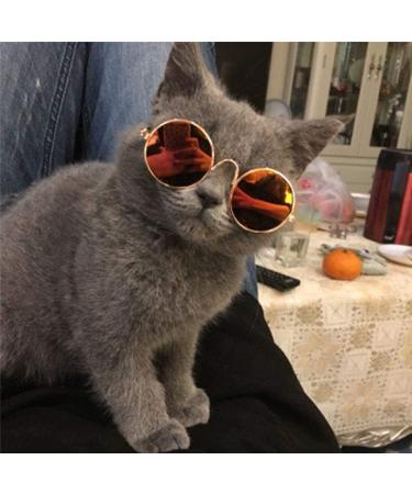 2pcs Random Color Small Cat Kitten Glasses Pet Sunglasses - 3cm/1.1 Inch Cosplay Costume Photos Props - Buy Online on GoSupps.com