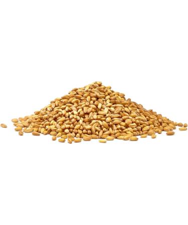 Manor Springs Organic 500g Organic Wheat Grain - Premium Quality - Buy Online on GoSupps.com