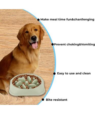 PTROUT Plastic Slow Feeder Dog Bowl - Prevent Choking & Overeating - Puzzle Pet Feeding Bowl for Medium & Small Dogs - Non-Slip Rubber Feet - Green - Buy Online on GoSupps.com