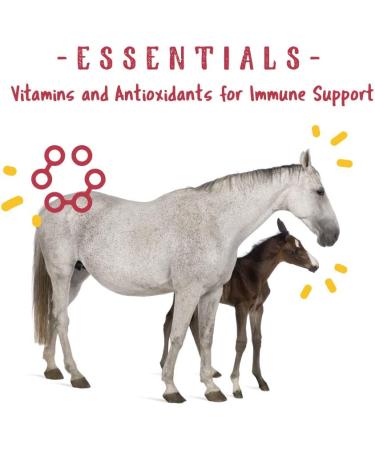 Manna Pro Weight Accelerator for Senior Horses - 8 lbs with Omega 3 & Probiotics - Buy Online on GoSupps.com