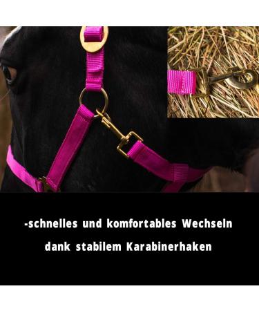 Optimal Pink Pony Halter for Warmbloods Thoroughbreds & Cold Bloods - Adjustable Tear-Resistant Perfect for Stable & Pasture Use - Buy Online on GoSupps.com