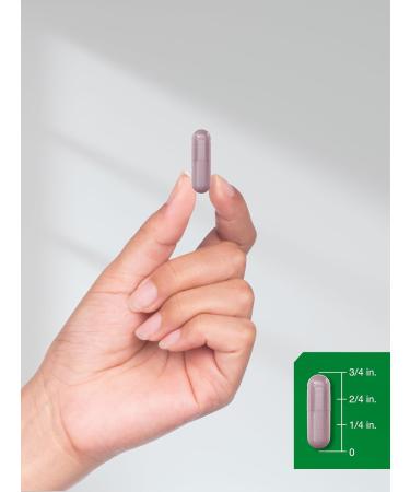 Horb ach Bilberry Fruit Extract 1200mg | 100 Capsules | Vegetarian Non-GMO Gluten Free Supplement - Buy Online on GoSupps.com