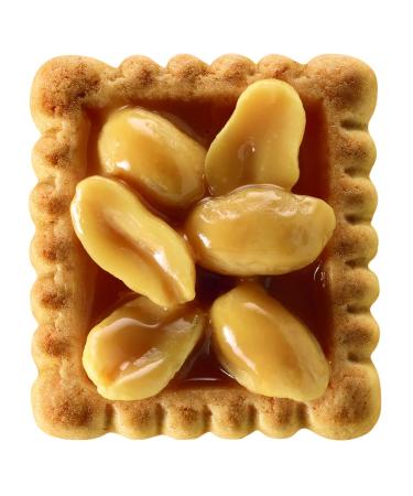 Leibniz Knusper Peanut Biscuits - 10 Pack Crispy Snacks with Caramel Cream (175g each) - International Shipping Available - Buy Online on GoSupps.com