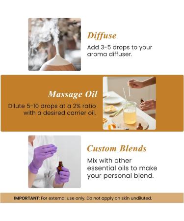 Handcraft Blends Warm & Zesty Set: Cinnamon and Grapefruit Essential Oils (2 x 4 Fl Oz) 100% Pure & Natural for Diffuser Aromatherapy and DIY Projects - Buy Online on GoSupps.com