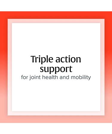 Natural Factors MSM Joint Formula - 180 Capsules for Joint Support & Mobility - Buy Online on GoSupps.com