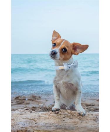 Unique Style Paws Blue Satin Dog Collar - Adjustable Pet Collar Gift for Big Dogs (L) - Buy Online on GoSupps.com