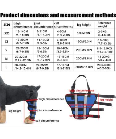Dog Back Leg Support Dog Elbow Knee Brace Help Help Dog Keep The Joint Stable Pet Dog Hind Legs Protector|Blue (Right Leg M) right leg M - Buy Online on GoSupps.com