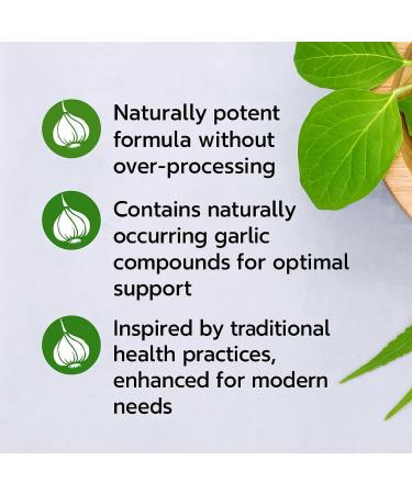 Garlic Extract 5000mg 200 Count Bottle of Softgels 12 Bottles by Total Natural Safe and Natural Cardiovascular Health Supplement for Men and Women GMP Premium Ingredients - Buy Online on GoSupps.com