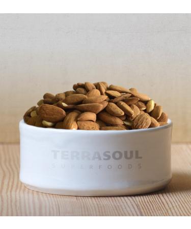 Terrasoul Superfoods Raw Organic Almonds (Mylk Grade) 2 lbs - 32 oz (Pack of 1) - Buy Online on GoSupps.com
