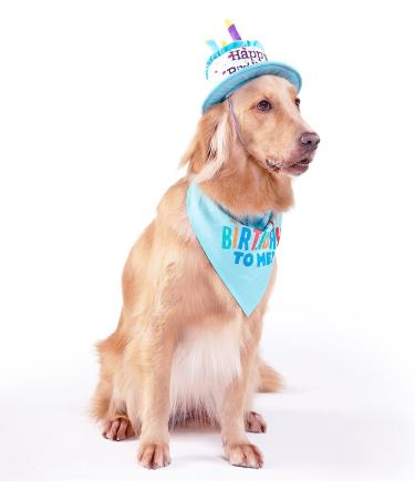 Ushang Pet Extral Large Dog Birthday Cake Hat & Birthday Bandana Scarfs Set Blue  Dog Happy Birthday Hat with Colorful Candles  Large Dog Birthday Party Supplies Decorations Birthday Hat & Bandana - Buy Online on GoSupps.com