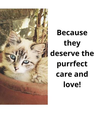 Kitten Wet Kitten Wet Food Gastrointestinal Kitten Ultra Soft Mousse 12x195g Cans Highly Digestible High Energy With Prebiotics and Omega 3 Fatty Acids - Buy Online on GoSupps.com