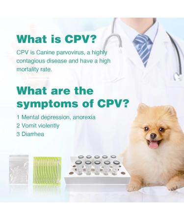Yanzeo 10 Tests Canine Parvovirus Test Kit - CPV Rapid Home Test for Dogs | Veterinary Clinics | 10-Pack - Buy Online on GoSupps.com