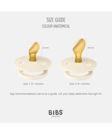 BIBS Colour Pacifier 2-Pack - BPA-Free Jaw-Friendly Natural Rubber | Fossil Grey/Mauve | 0-6 Months | Made in Denmark - Buy Online on GoSupps.com