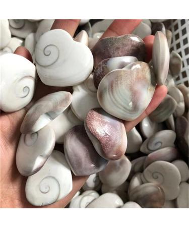 Natural Quartz Crystal White Shell Heart Natural Stones Minerals Crystals s for Home Decoration Home Office Decor 30-40mm 1pcs - Buy Online on GoSupps.com