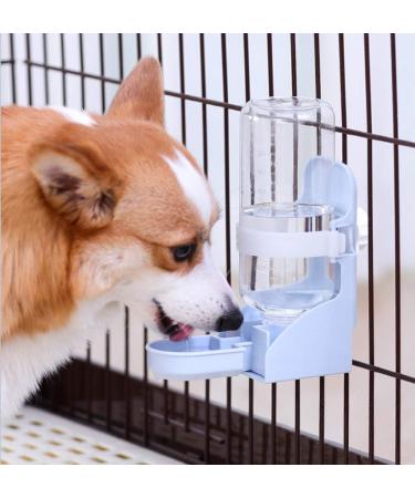 Gearific 500ml Pet Automatic Water Fountain Water Feeder Suspended Water Dispenser Small Animal Water Bottle for Cats Hamster Rabbits (Blue) - Buy Online on GoSupps.com