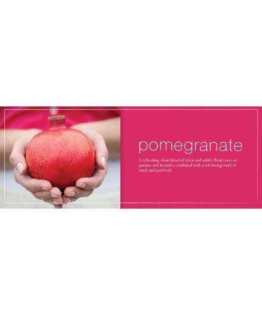 Mangiacotti Natural Kitchen Soaps Fragrant Plant-Based Concentrated Liquid Soap 14.4-Ounce Pomegranate Pomegranate 14.4 Fl Oz (Pack of 1) - Buy Online on GoSupps.com