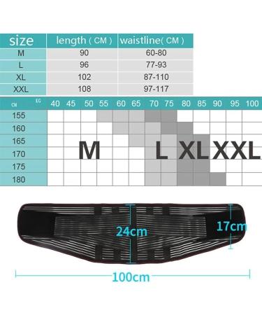 Physiotherapy Lende Vertebrae Back Support for Pain Relief - Adjustable Breathable Waist Trimmer for Men & Women - Buy Online on GoSupps.com