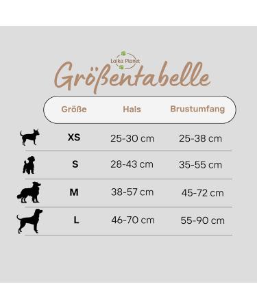 Premium H-Shaped Dog Harness - Velvet & Multi-Position Leash - Small Medium & Large - Stylish Pink (L) - Buy Online on GoSupps.com