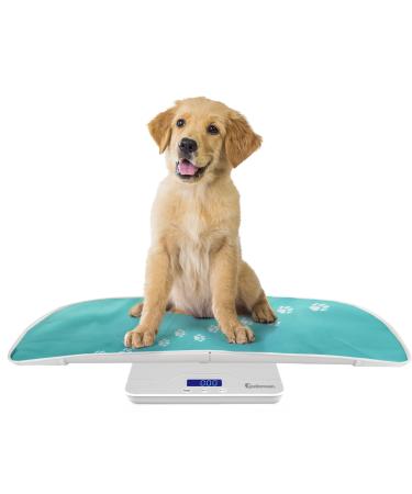 Adamson A50 Pet and Baby Scale - New 2023 - Digital Pet Scale for Cats Dogs Rabbits Puppies Adults - Small Animal Scale - Great for Newborn/Underweight/Premature - Up to 220 lb / 100 kg