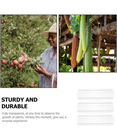 GANAZONO 3pcs Cucumber Mold Square Cucumber Growing Molds Solar Water Fountain Stereotypes Pp Ginseng Fruit - Buy Online on GoSupps.com