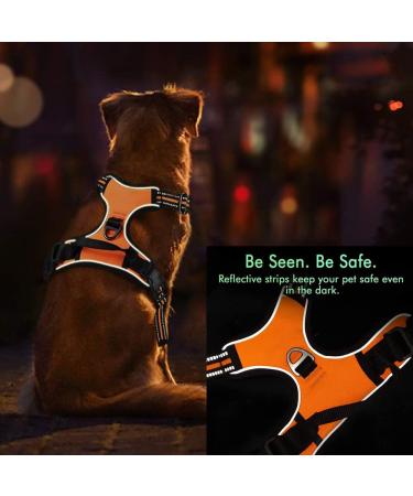 SLZZ Personalized Custom No Pull Dog Harness Leash Set with Name Phone Number-Heavy Duty Reflective Soft Padded Vest with Easy Control Handle for Small Medium Large Dog-2 Leash Attachments - Buy Online on GoSupps.com
