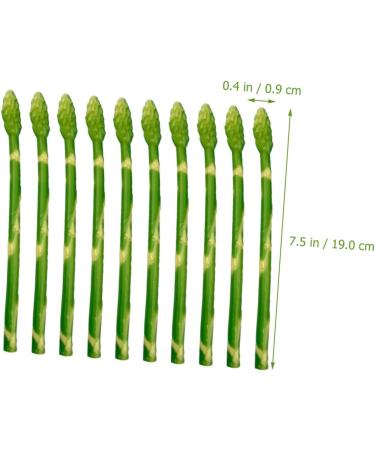 HOMSFOU 20 Pcs Simulated Asparagus Ornaments Pretend Play Food Fake Bamboos Food Faux Veggies Fake Food Model Asparagus Models Simulated Food Artificial Asparagus Model Pvc Vegetable Plant Light Greenx2pcs 19X0.9CMx2pcs - Buy Online on GoSupps.com