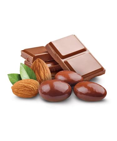Funtasty Sugar Free Milk Chocolate Covered Almonds - Keto Friendly - 1lb Pack - Buy Online on GoSupps.com