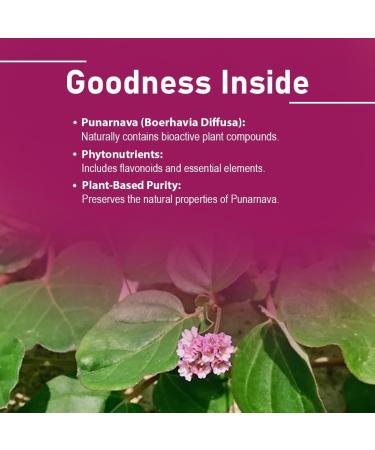 Punarnava Tablets by mi Nature| 90 Tablets 1000 mg| 45 Days Supply| Herbal Tablets| Vegan | Boerhaavia diffusa| from India - Buy Online on GoSupps.com