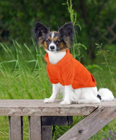 Buy Idepet Dog Sweaters - Warm Pullover for Small Dogs & Cats | Orange | Ideal for Chihuahuas & Teddy Poodles - Buy Online on GoSupps.com