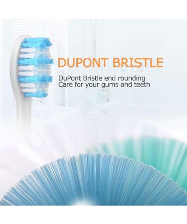 Buy Mornwel D01 Replacement Brush Heads - Dental Care Tools D903/D904 (Black) - International Shipping Available - Buy Online on GoSupps.com