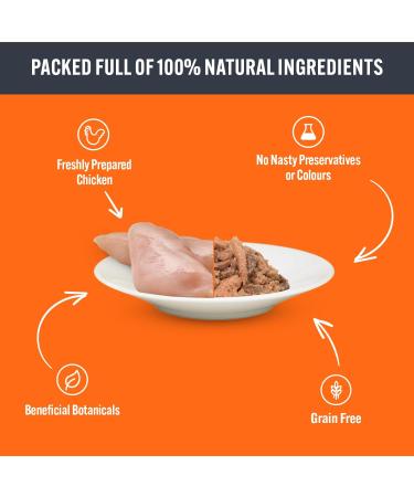 HiLife Kitten Wet Cat Food Tender Chicken Pate Complete Cat Food Pouches for Kittens 1 - 12 Months 100% Natural & Grain Free (8 x 70g Pouches) 4 Pack 70 g (Pack of 32) Chicken Pate - Buy Online on GoSupps.com