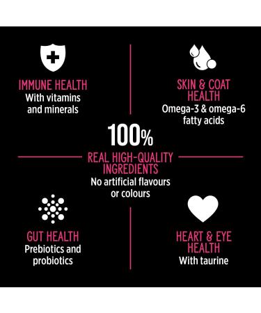 Nutrience Subzero Limited Ingredient Dog Food - Lamb and Pumpkin Recipe - 1.8 kg (4 lb) Lamb & Pumpkin 1.8 kg (Pack of 1) - Buy Online on GoSupps.com