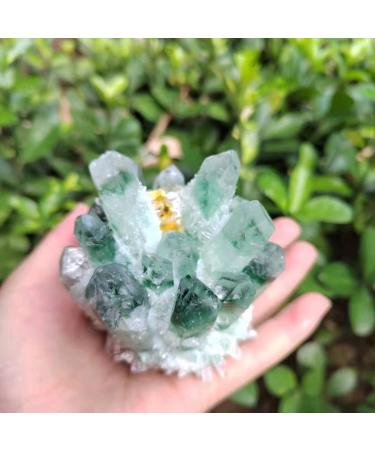 Natural Crystal Rough 1pc Natural Green Phantom Quartz Crystal Cluster Yellow Citrine Stone Ornaments 300G-900G for (Color : 1pc570g-640g Size : 1PC) 1PC 1pc570g-640g