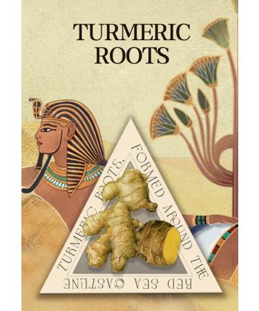 Buy Castor Oil Scalp Rejuvenating Conditioner - Natural Keratin for Stronger Hydrated Hair | International Shipping - Buy Online on GoSupps.com