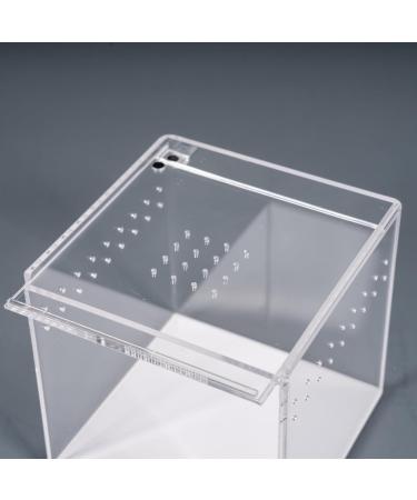 NEOREP 100x100x100mm Acrylic Invertebrate Spider Tarantula Display Tank Box (1 Enclosure Deal) 100x100x100mm 1 Enclosure Deal - Buy Online on GoSupps.com