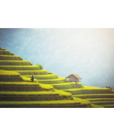 Lais Puzzle Rice fields on the terraces of Mu Cang Chai YenBai Vietnam 1000 pieces - Buy Online on GoSupps.com