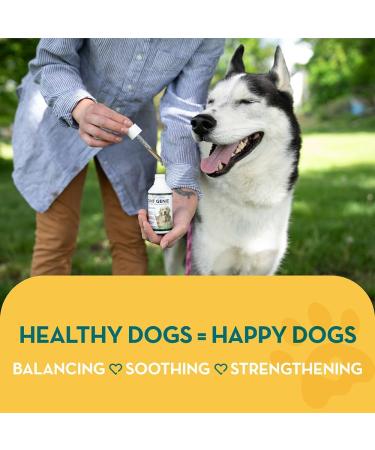 The Healthy Dog Co Joint Supplements for Dogs with Turmeric - 100ml - Buy Online on GoSupps.com