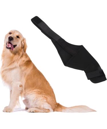 Dog Knee Brace for Hind and Rear Leg Knee Brace for Dog Support for Dog ACL CCL Cruciate Ligament Injury Joint Pain and Muscle Sore(M/Left) - Buy Online on GoSupps.com