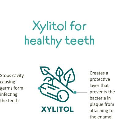 Himalaya Botanique Kids Toothpaste - Bubble Gum Flavor Fluoride Free Vegan & Gluten Free | Reduces Plaque & Strengthens Teeth | 80G - Buy Online on GoSupps.com