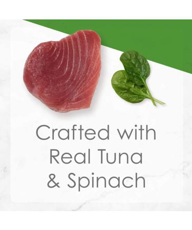 Fancy Feast Gravy Lovers Salmon | Fancy Feast Medleys Tuna Florentine Wet Cat Food Bundle (48 Cans 4.08 kg) Cat Food + Cat Food 85 g 24 Pack - Buy Online on GoSupps.com