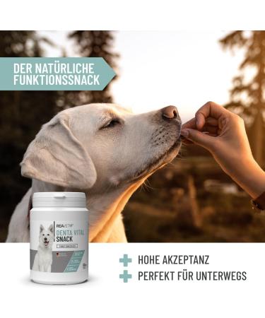 Reavet Denta Vital Snack for Dogs - Grain-Free Functional Treats for Fresh Breath | 80 Sticks (170g) | Monoprotein & Mint Anise Flavor - Buy Online on GoSupps.com