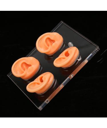 Ear Display Mold Human Ear Model Real Skin Feeling Reusable Waterproof Soft For Store Showcase For Doctor Otolaryngologists For Ear Dispensers - Buy Online on GoSupps.com