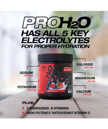 PVL Pro Series PROH2O | Advanced Hydration powder electrolyte powder with 5 key electrolytes no sugar carb free zero calories - 30 serving (255 G Orange Krush'd) Orange Krush'd 30 Servings (Pack of 1) - Buy Online on GoSupps.com