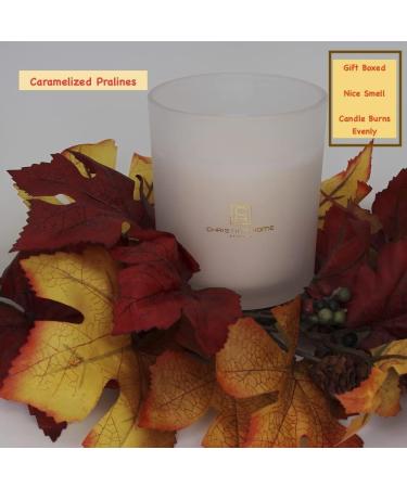 Soy Blended Candle - Caramelized Pralines | Eco-Friendly Scented Candles for Home & Gifts - Buy Online on GoSupps.com
