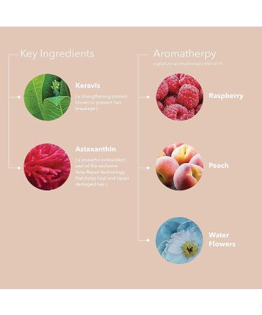Pureology Strength Cure Shampoo 9 fl oz - Sulfate-Free & Vegan Formula for Damaged Color-Treated Hair - Buy Online on GoSupps.com