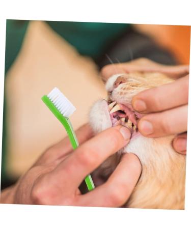 INOOMP 16 Pcs Pet Oral Toothbrush Dog Pp Dog Toothbrush and Toothpaste Dog Teeth Cleaning 1 count (Pack of 1) As Shownx2pcs - Buy Online on GoSupps.com