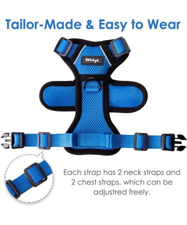 Breakproof Cat Dishes & Adjustable Kitten Vest Set - Reflective Stripes for Small Kittens (Blue XXS) - International Shipping - Buy Online on GoSupps.com