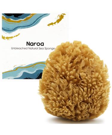 Naroa Natural Sea Sponge for Bathing | Unbleached Shower Body Scrubber Puff | Exfoliating Bath Sponge for Healthy Skin | Eco Friendly Plastic Free Renewable Sponge for Men Women (Medium) Medium (Pack of 1)
