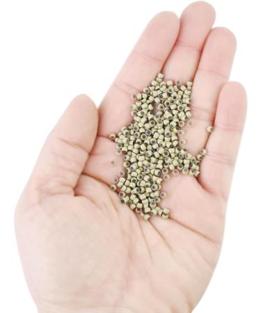 400pcs/lot 3.0mm Silicone Nano Rings Hair Extension Nano Beads Silicone Lined Nano Rings Micro Rings Beads Links for Hair Extensions (Gray Blonde) 400pcs/lot Gray Blonde - Buy Online on GoSupps.com